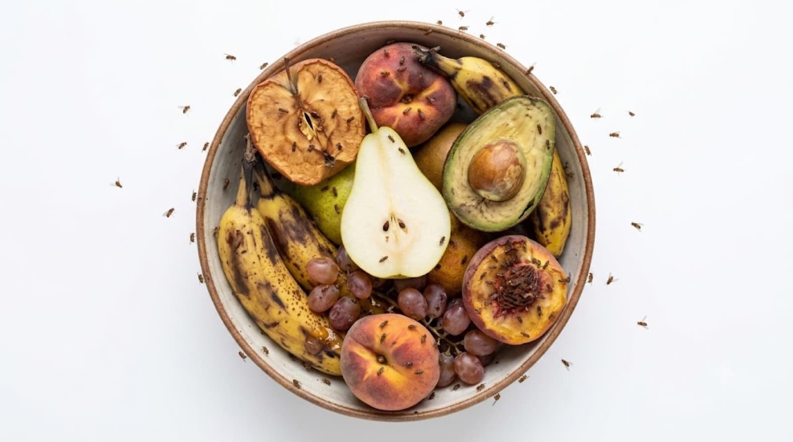 ¿Cómo evitar que aparezcan las mosquitas de la fruta?