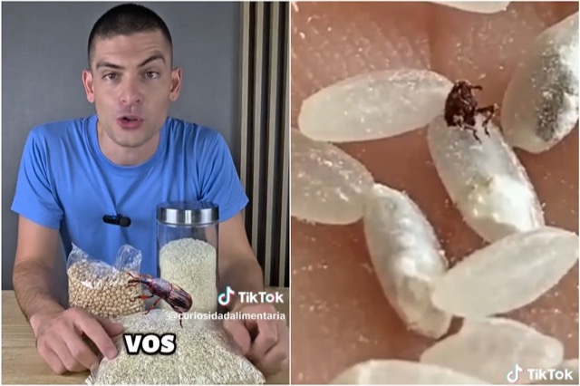 El secreto para evitar los gorgojos es guardar las legumbres o las harinas por 24 horas en el freezer
